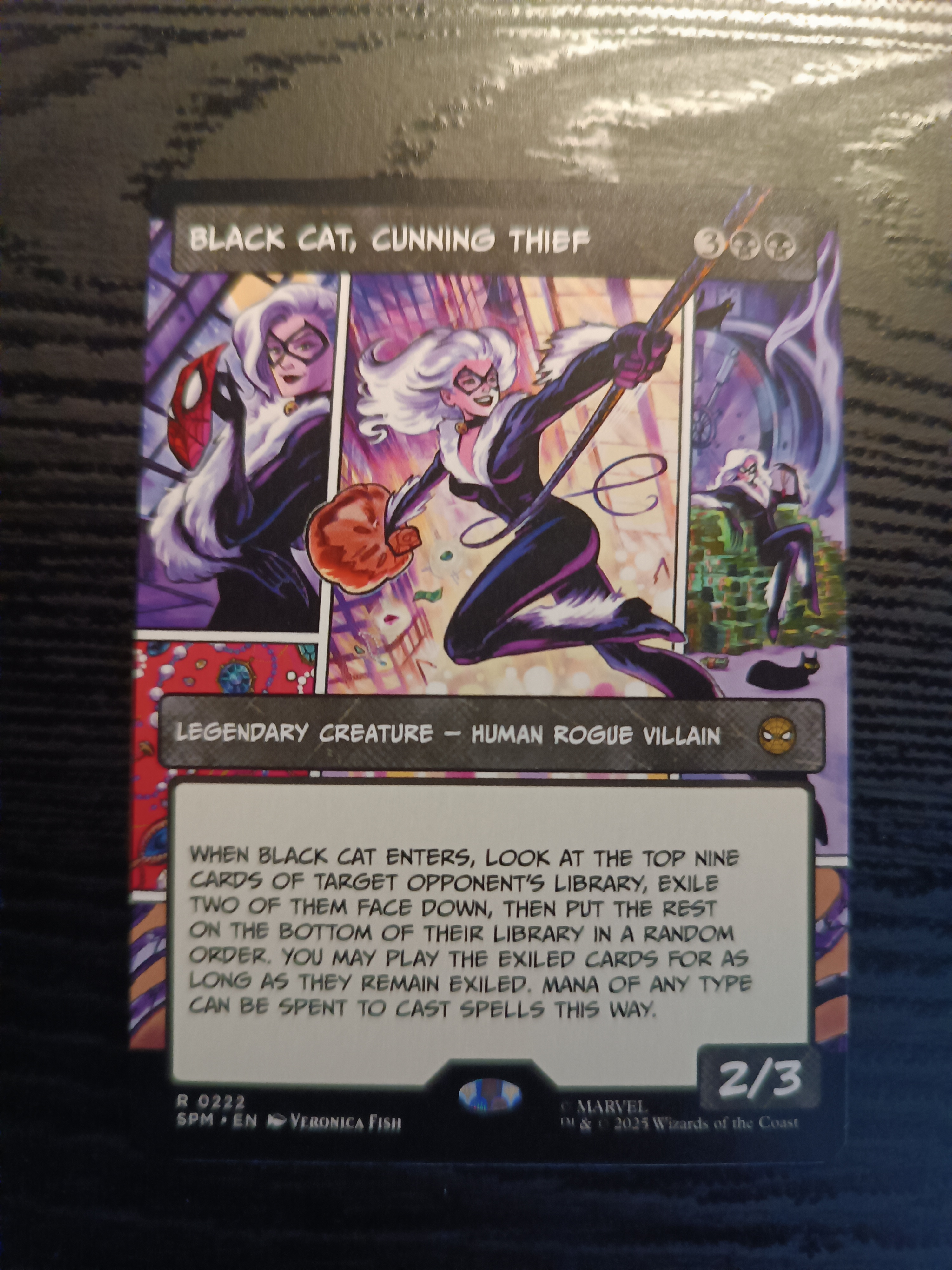 Black Cat, Cunning Thief - Borderless